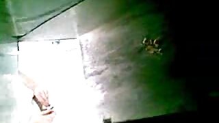 सेक्सिटेड पिल्ले राहेल Roxxx सोफिया सोलील कोंबडा आनंदाने वेडे होतात