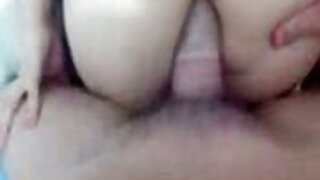 शे समर्सला तिची ओले मांजर पीटर ग्रीनने चांगले चाटले