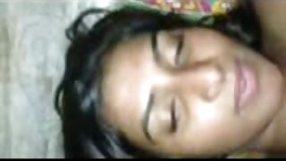 सडपातळ शरीराची गोड बाळ तिची केसाळ मांजर उत्कटतेने बोटे फिरवते